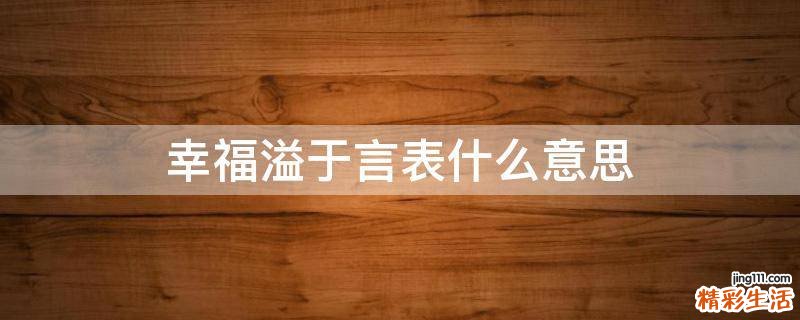 幸福溢于言表什么意思