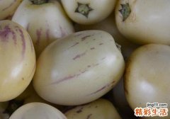 人参果孕妇可以吃吗 孕妇吃人参果有什么好处