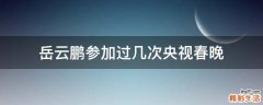 岳云鹏参加过几次央视春晚