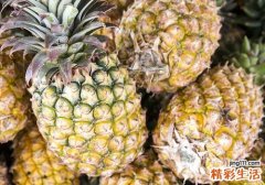 凤梨怎么挑选 菠萝和凤梨有什么不同