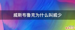 威斯布鲁克为什么叫威少