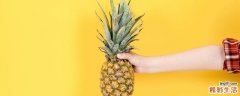 凤梨能放冰箱保存吗 凤梨切开能隔夜吃吗