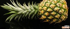 青凤梨怎么催熟 凤梨怎么辨别是否熟了