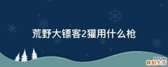 荒野大镖客2獾用什么枪