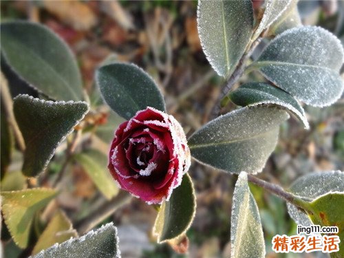 帕金森综合症晚期怎么护理