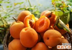 黄桃可以放多久 黄桃一天可以吃几个