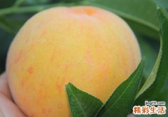 吃黄桃过敏吗 吃黄桃过敏了怎么办