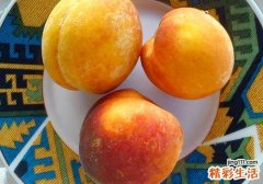 黄桃可以放冰箱里吗 黄桃的保存方法有哪些
