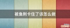 被鱼刺卡住了该怎么做