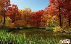 2 护肤品中的“微粒” 到底会损肤还是利肤