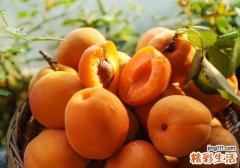 吃黄桃会过敏吗 吃黄桃过敏怎么办