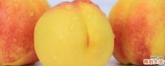 晚上吃黄桃会不会长胖 黄桃软的好吃硬的好吃