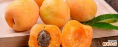 杏子吃多了有坏处吗 杏子吃多了会掉头发吗