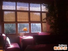 2 助你美容养颜的六款抗衰老食物