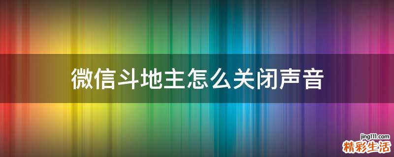 微信斗地主怎么关闭声音
