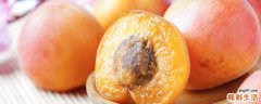 杏子空腹可以吃吗 空腹吃杏子有什么危害