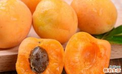 杏多吃会怎么样 杏子一次吃多少好