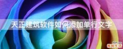 天正建筑软件如何添加单行文字
