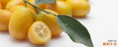 金桔和蜂蜜能一起吃吗 金桔蜂蜜止咳的做法