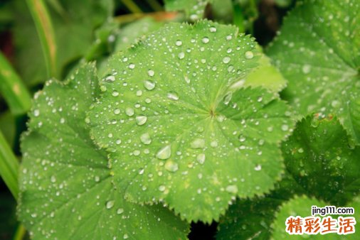 牙源性皮瘘的症状，牙源性皮瘘的早期症状，并发症