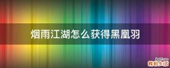 烟雨江湖怎么获得黑凰羽