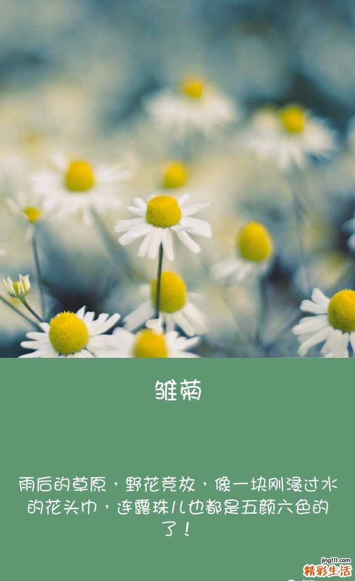 中老人补钙吃什么最好