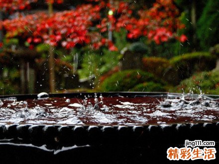 3 小儿腹泻中医诊疗方法