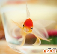 老人夜尿频多是怎么回事