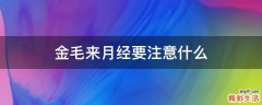 金毛来月经要注意什么