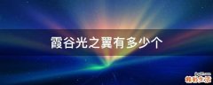 霞谷光之翼有多少个
