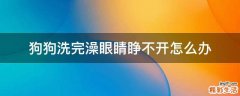 狗狗洗完澡眼睛睁不开怎么办