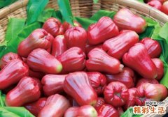 莲雾可以减肥吗 减肥期间可以吃多少莲雾