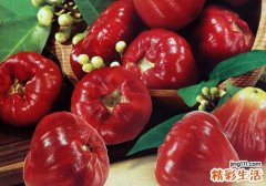 莲雾里面的棉可以吃吗 莲雾中间芯能吃吗