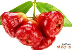 莲雾是腰果吗 莲雾和腰果有关系吗