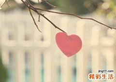 尺桡骨干双骨折