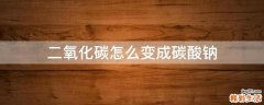二氧化碳怎么变成碳酸钠