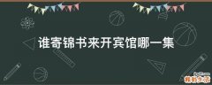 谁寄锦书来开宾馆哪一集