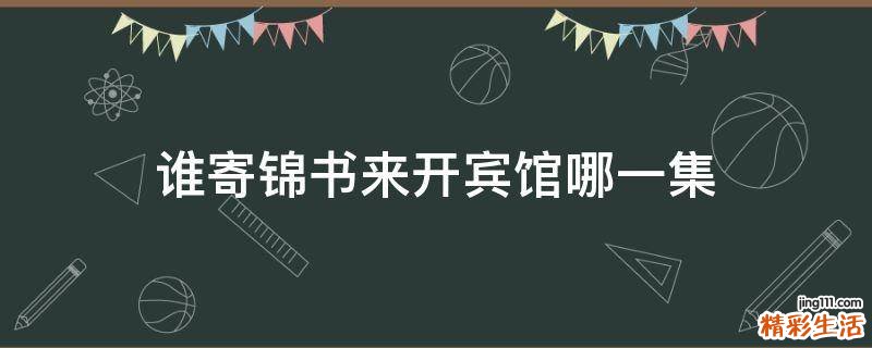 谁寄锦书来开宾馆哪一集