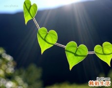 白内障的早期特征和变化