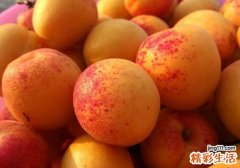 杏子皮能吃吗 杏子要剥皮吃吗