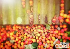 杏子是不是凉性水果 杏子这样吃更好美味