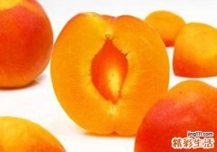 宝宝可以吃杏吗