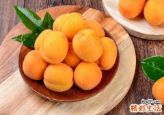 吃杏子为什么会拉肚子 吃杏子要注意什么