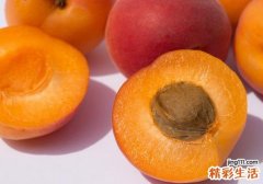 猕猴桃和杏子能一起吃吗 杏子可以和牛奶一起吃吗