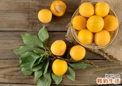 吃杏子会过敏吗 吃杏子过敏怎么办