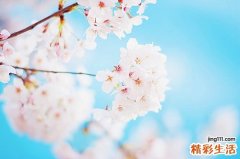 土豆为什么要泡水