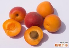 杏子和鸡蛋能一起吃吗 杏子和苹果能一起吃吗