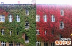 北京药监局曝光86个药品广告发布违规