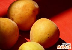 杏子可以放冰箱吗 杏子吃多了会上火吗