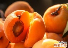 杏子和桃子能一起吃吗 杏子不能和什么一起吃